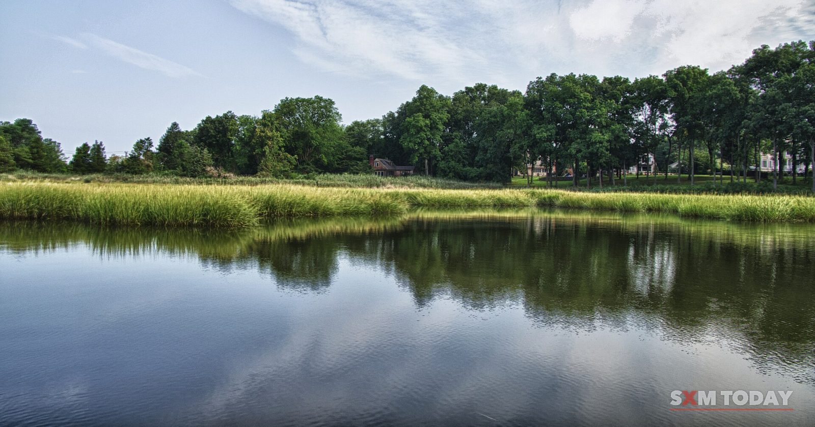 A still pond reflects a line of trees and a cloudy sky, fringed with reeds.
