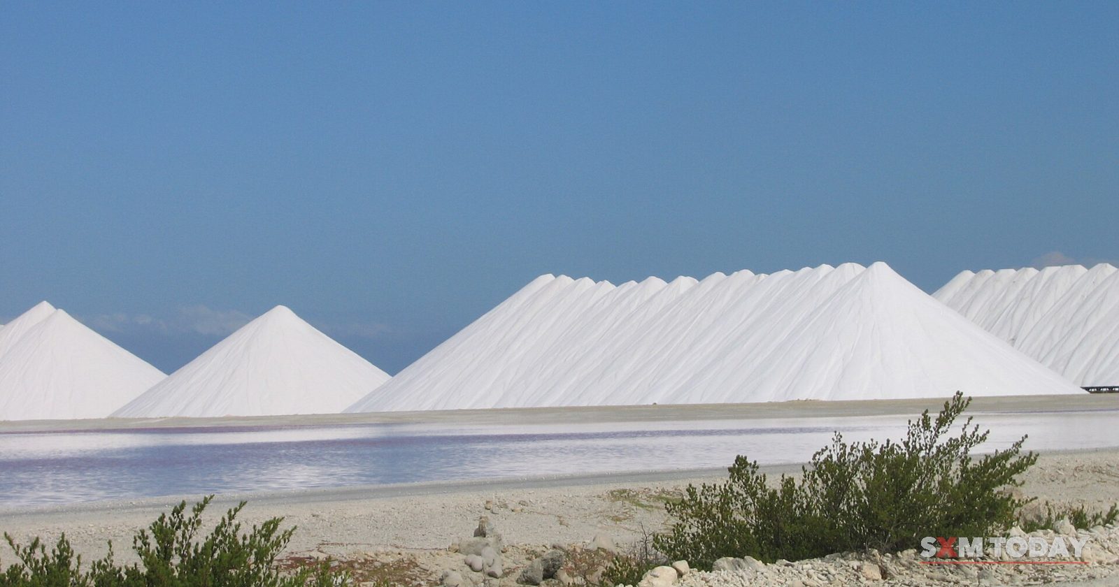 Several white pyramids of harvested salt stand under a clear blue sky beyond low scrub.