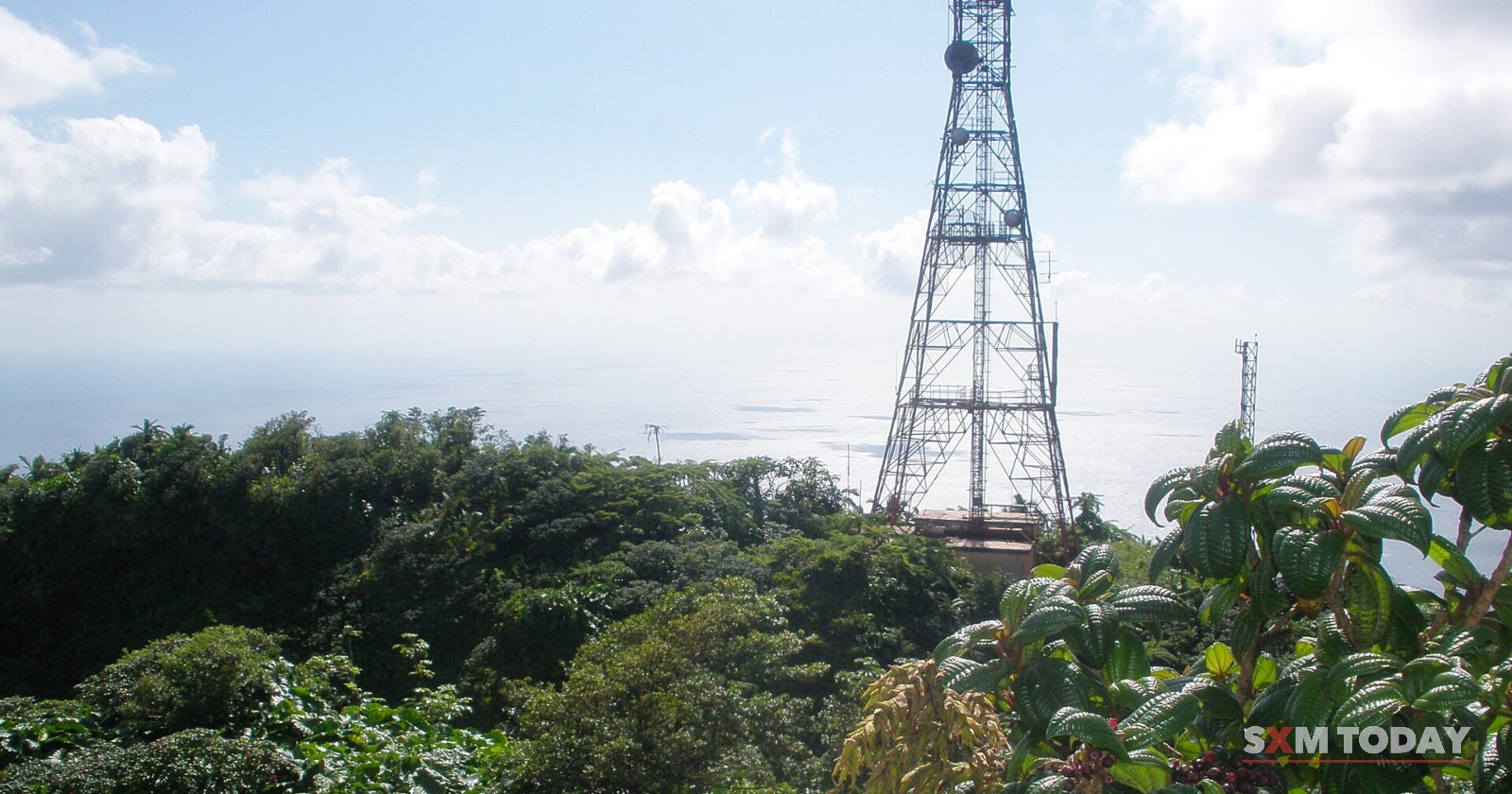 A steel lattice communications tower rising above dense green shrubs, with the sea on the horizon.