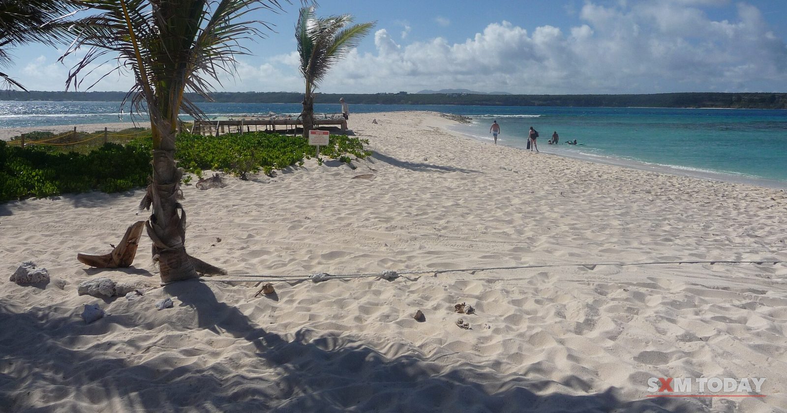 A small palm tree on a white sand beach beside calm turquoise water, with a few small distant figures along the shore.