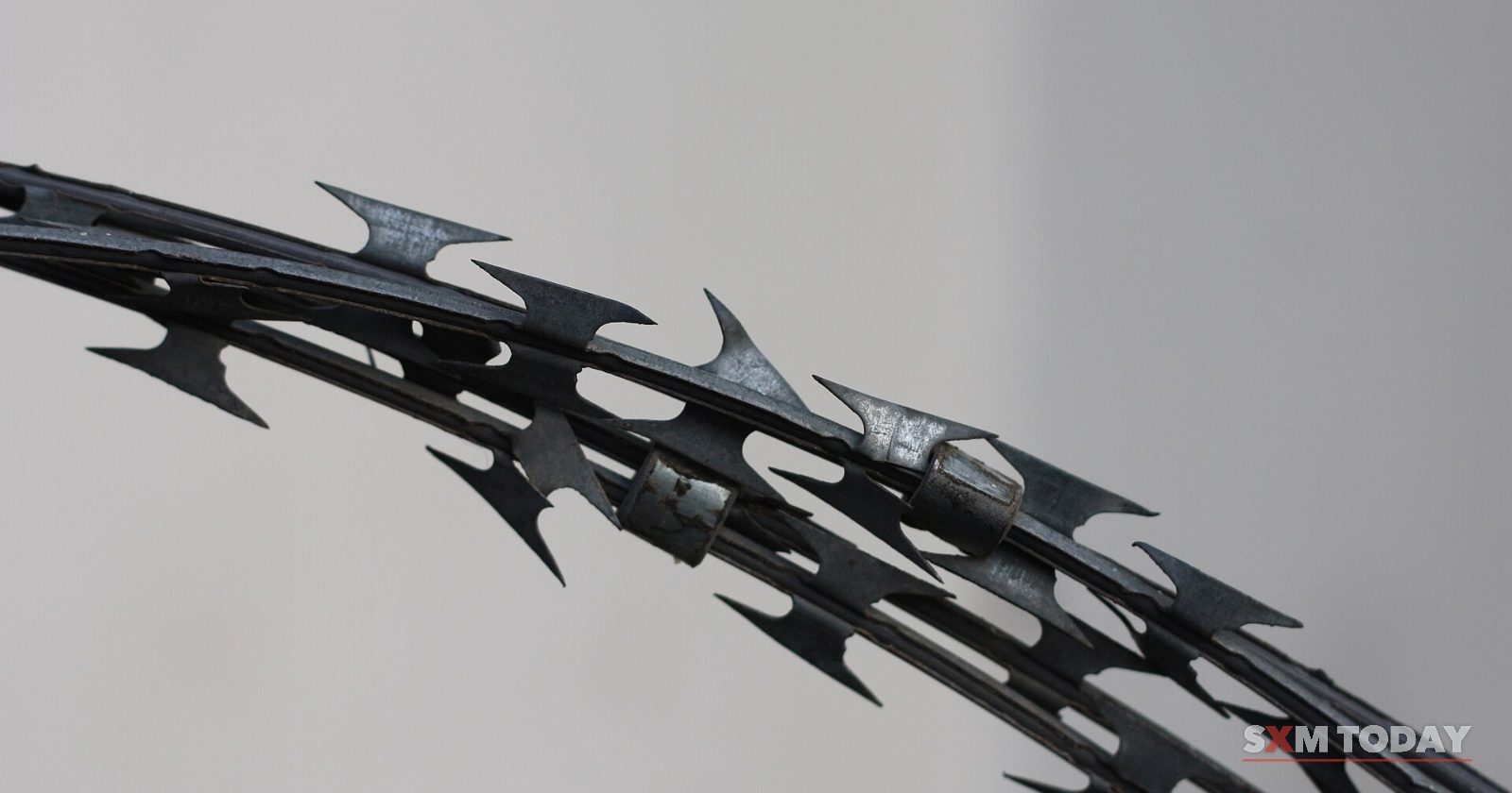A close-up of a coil of razor wire against a plain grey background.