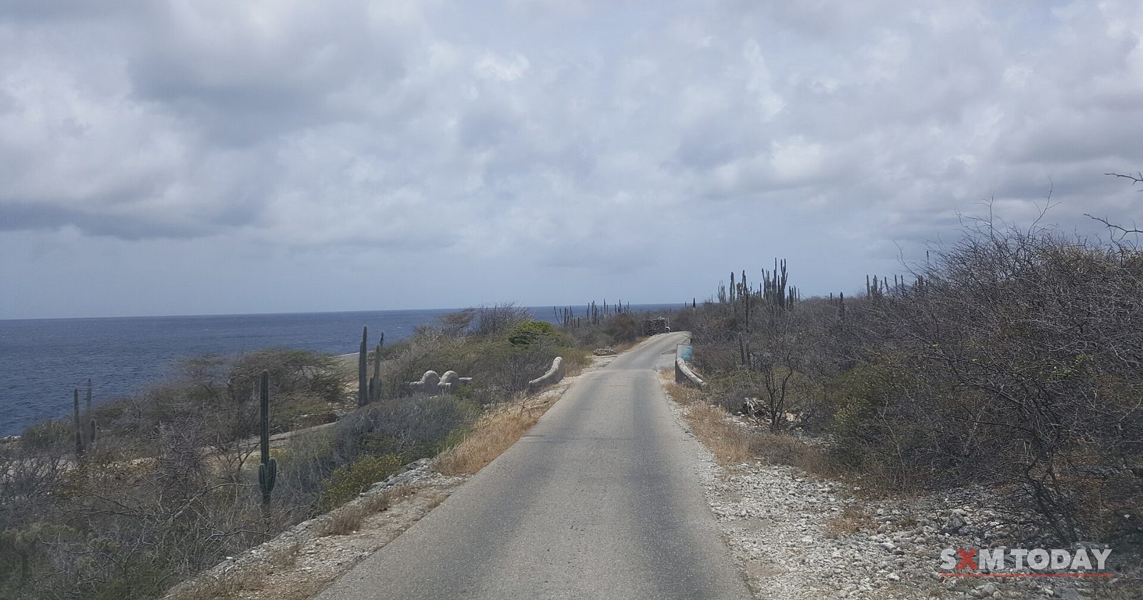 A narrow paved road running through dry scrub and cactus beside the sea under grey clouds.