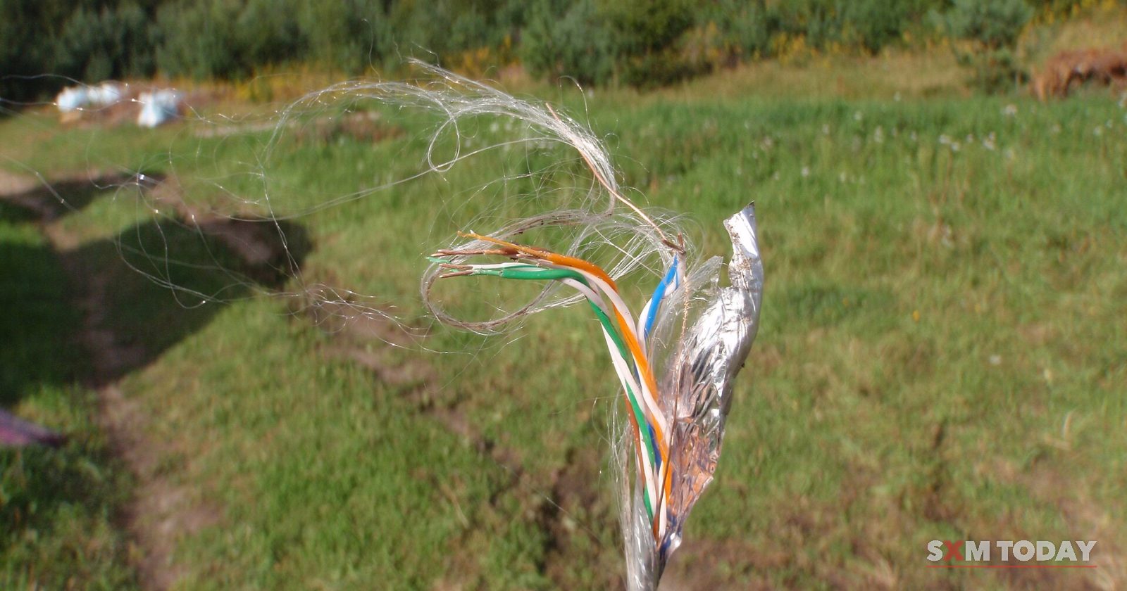A snapped network cable with frayed coloured wires sticking up from a grassy verge.