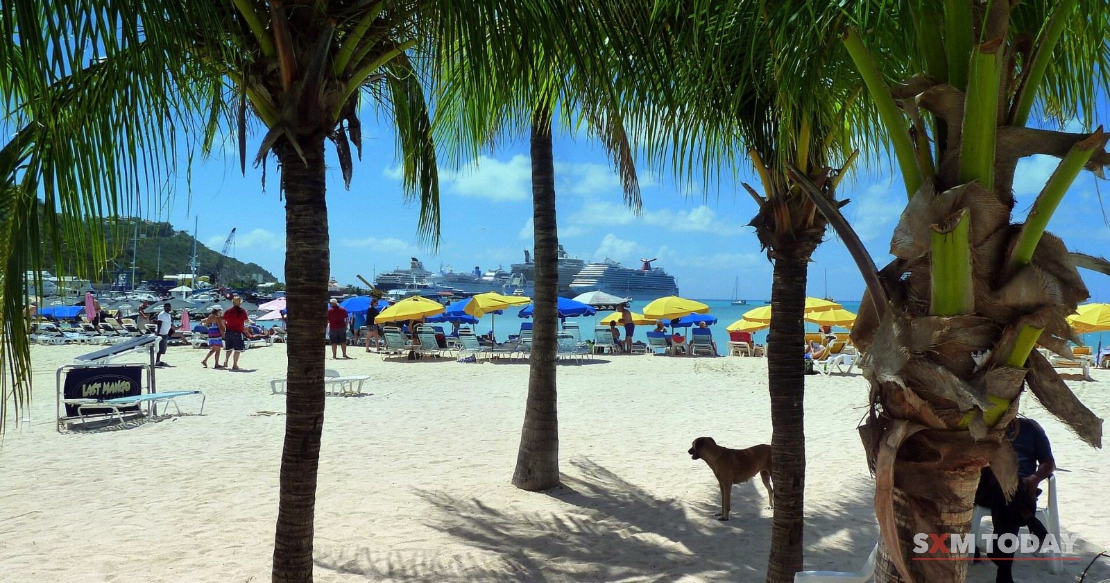 Palm trees and beach umbrellas on Great Bay beach, with cruise ships in the harbour behind.