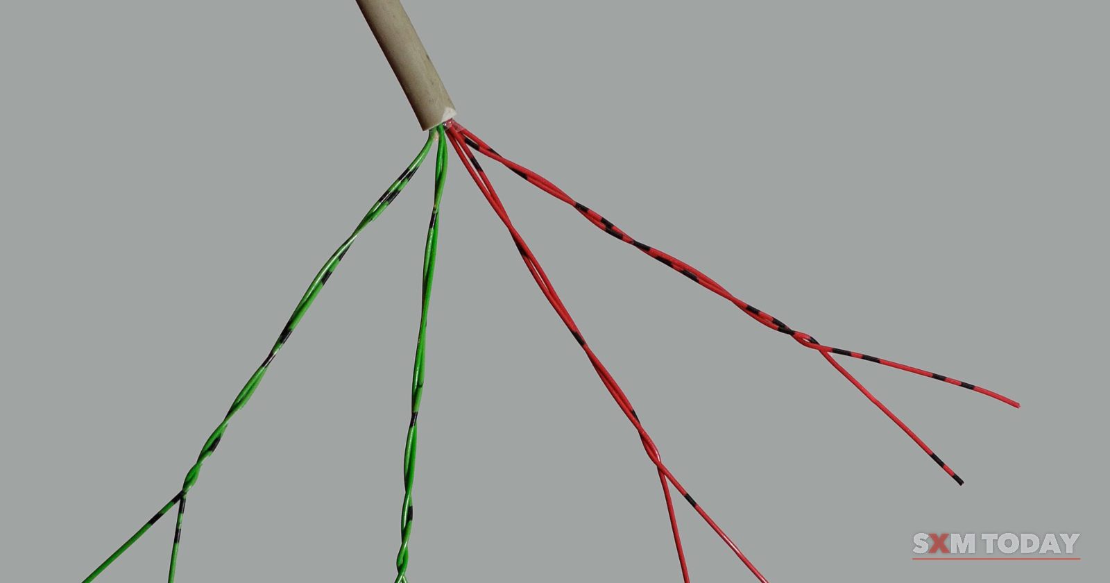 The stripped end of a grey cable fans out into twisted pairs of red and green wires against a grey background.