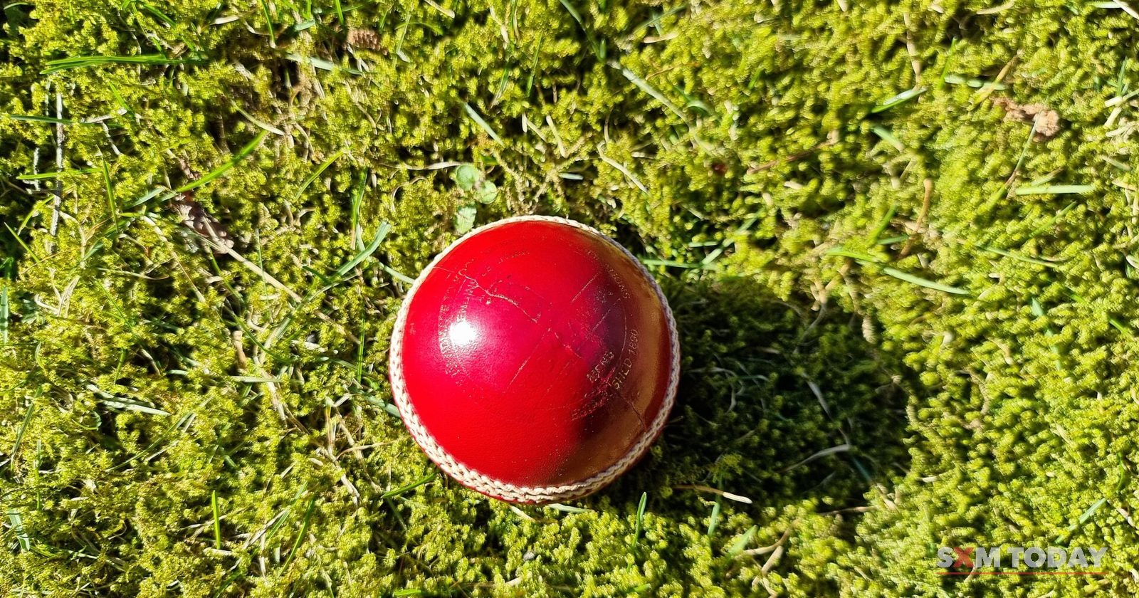 A red leather cricket ball resting on short green grass in sunlight.