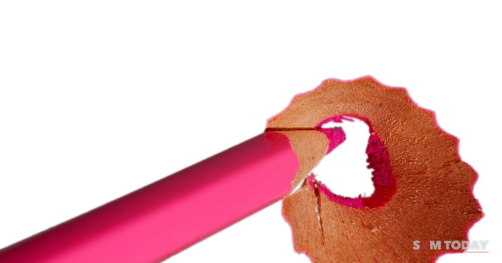 A pink pencil tip with a curled wood shaving around it on a white background.