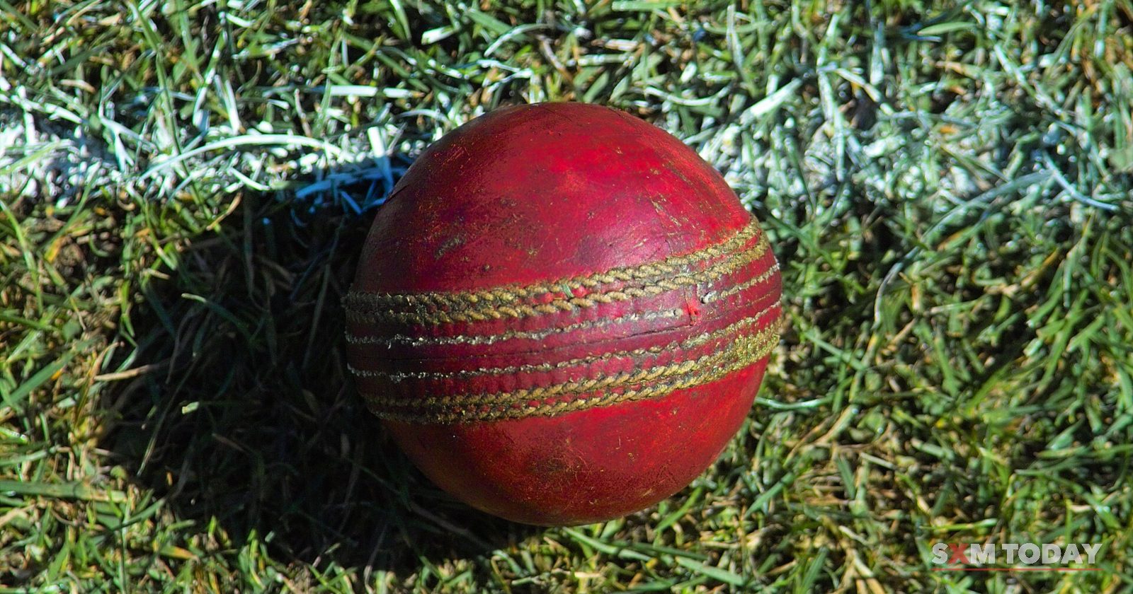 A worn red cricket ball sitting on grass in sunlight.