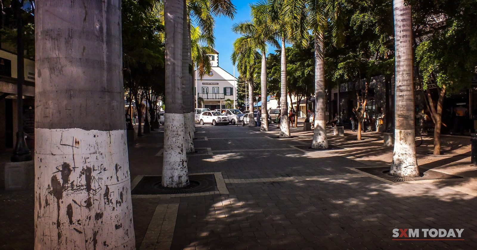 Tall palm trunks line a shaded paved square leading to a white colonial courthouse with a cupola in the distance.