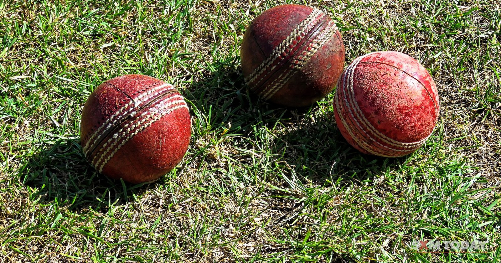 Three worn red cricket balls lie on short grass in sunlight.